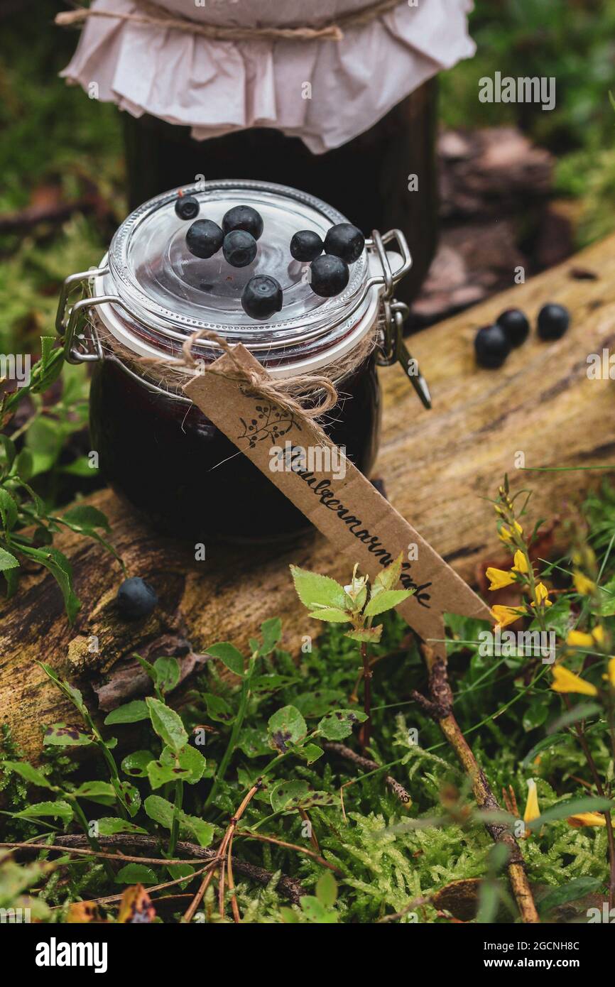 Blueberry jam in natural outdoor environment Stock Photo Alamy