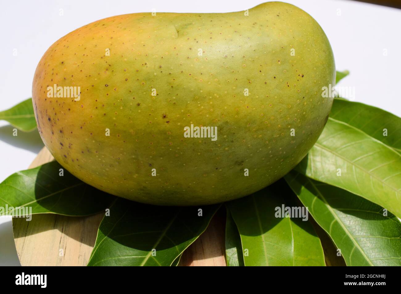 Delicious Kesar Mango variety from parts of Gujarat and maharastra. Gir