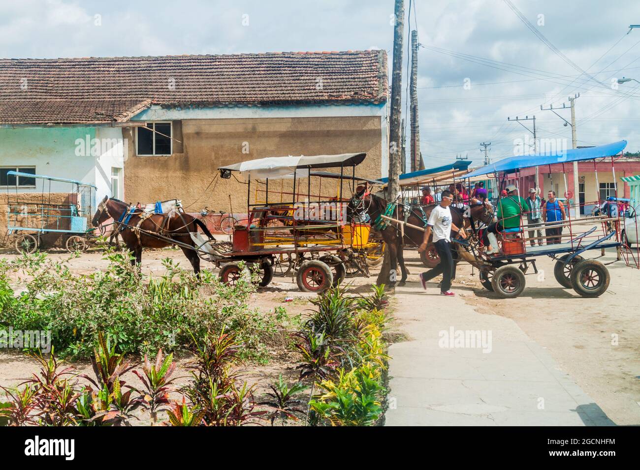 JAGUEY GRANDE, CUBA - FEB 16, 2016: BHorse carriages wait for customers in Jaguey Grande town, Cuba Stock Photo