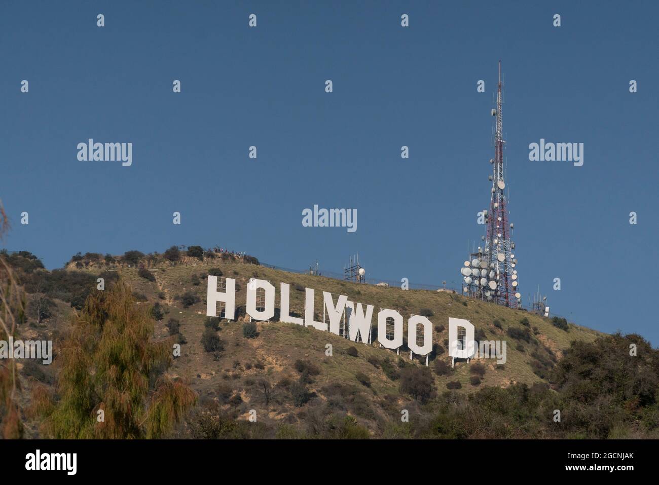 Hollywood Sign Stock Photo