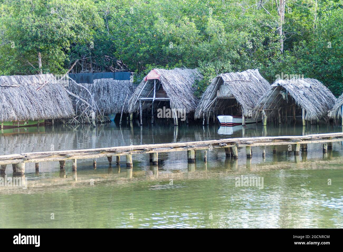 Thatched docks for fishing boats at Rio Miel river mouth near Baracoa, Cuba Stock Photo