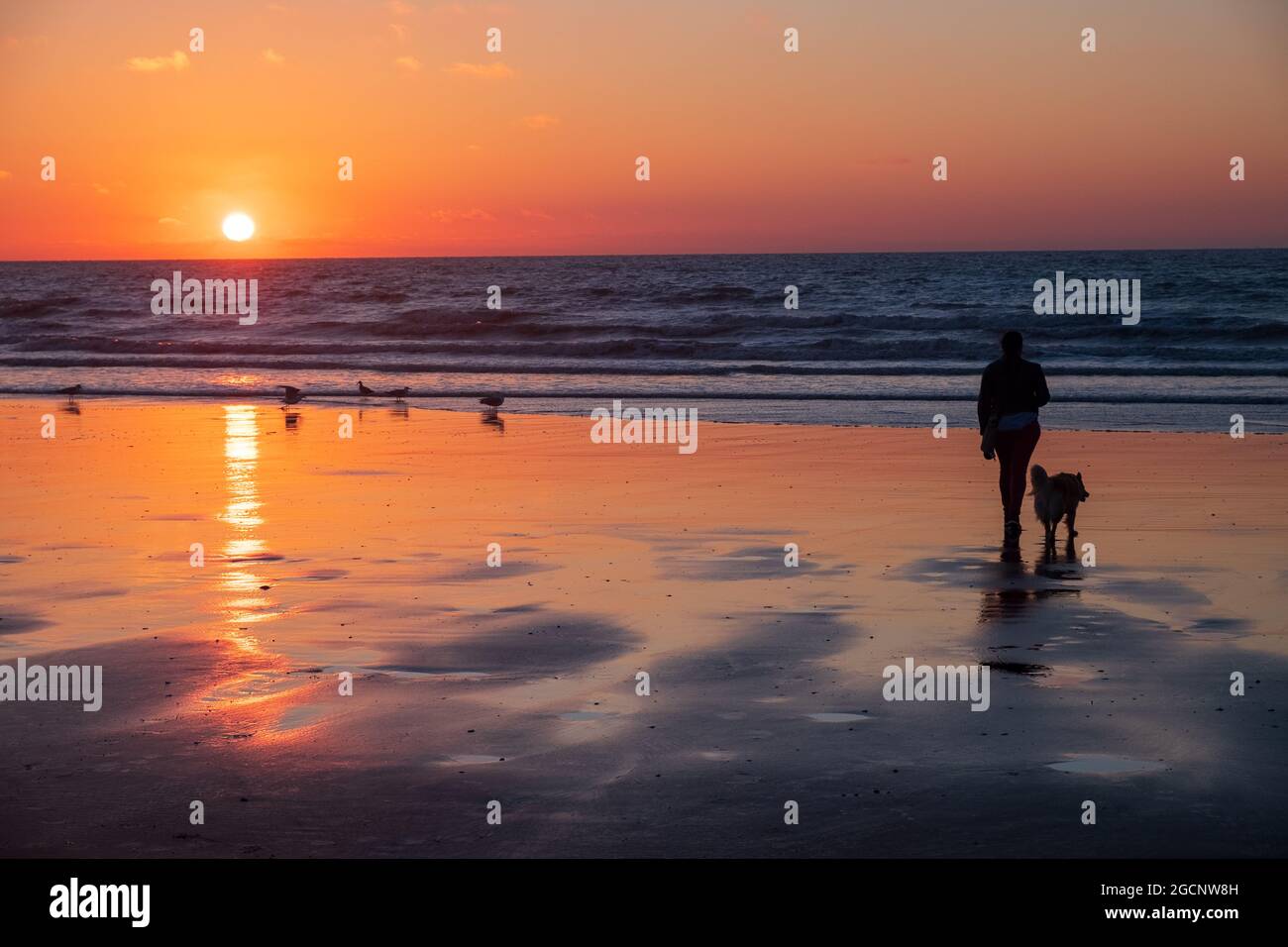 Female walking dog on beach hi-res stock photography and images - Alamy
