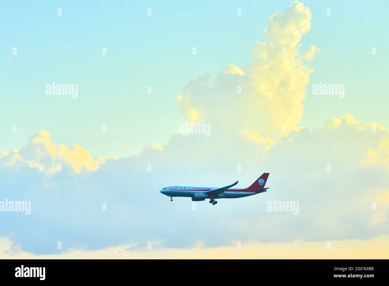 T1 B High Resolution Stock Photography And Images Alamy