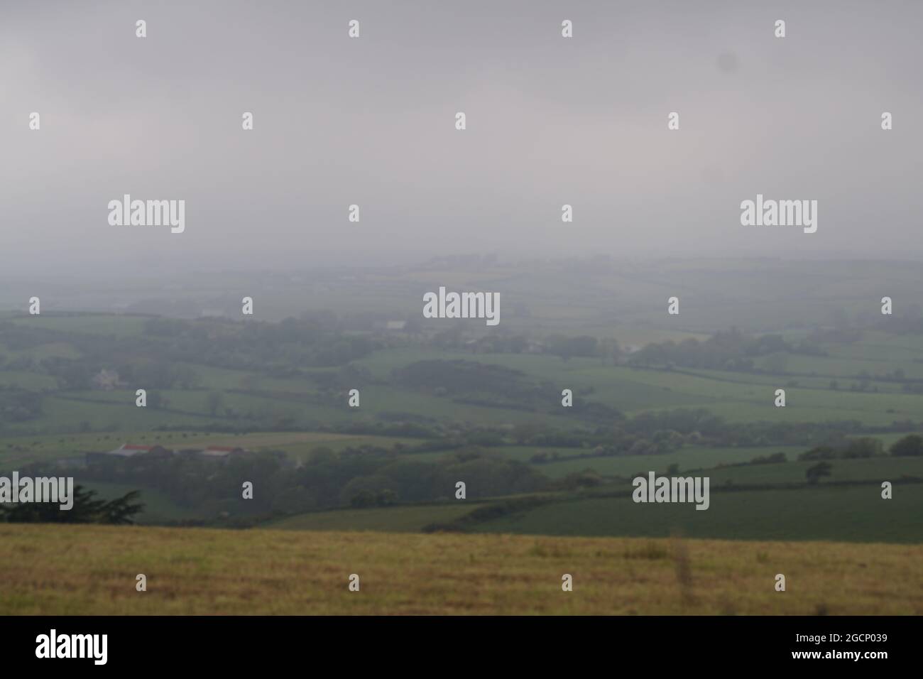 Foggy day on a field in the countryside Stock Photo - Alamy