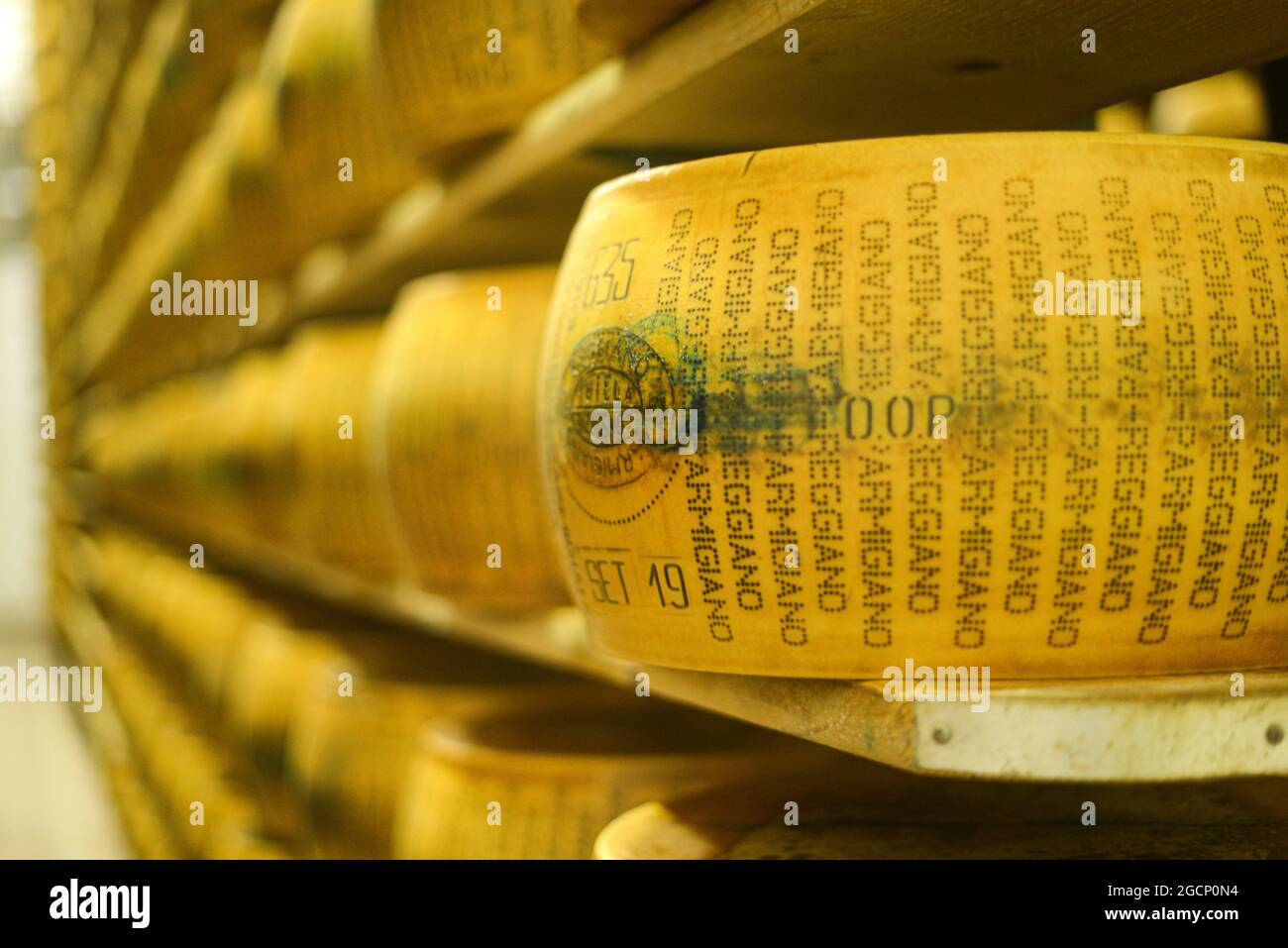 Wheels of parmesan cheese at the dairy Stock Photo Alamy