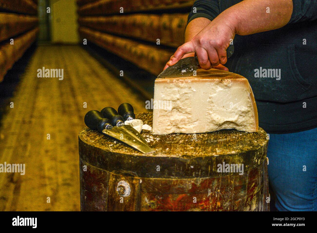 Cheese master cutting a parmesan cheese wheel at the dairy Stock Photo