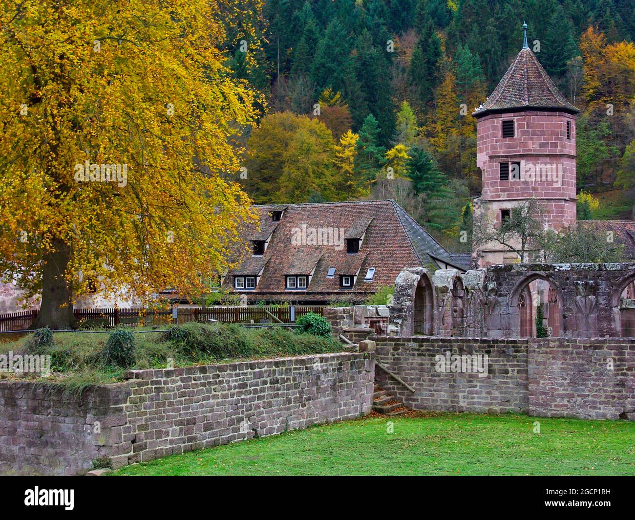 Hirsau abbey (former benedictine abbey): Ruins and gate tower (right), near Calw in Northern Black Forest, Baden-Württemberg, Germany Stock Photo