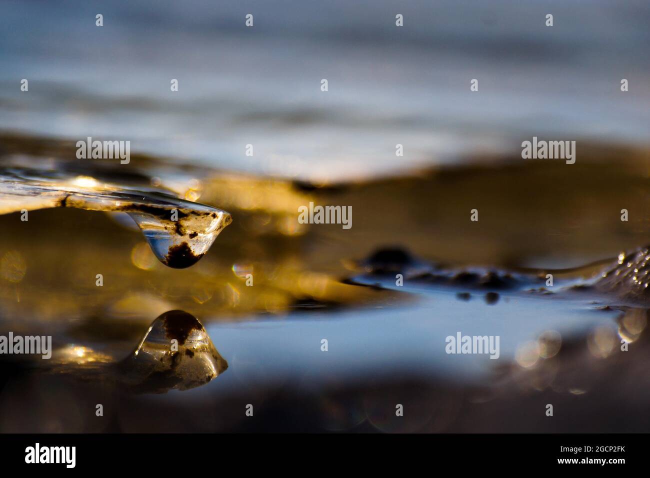 Macro shot of water droplets reflecting on the surface Stock Photo - Alamy
