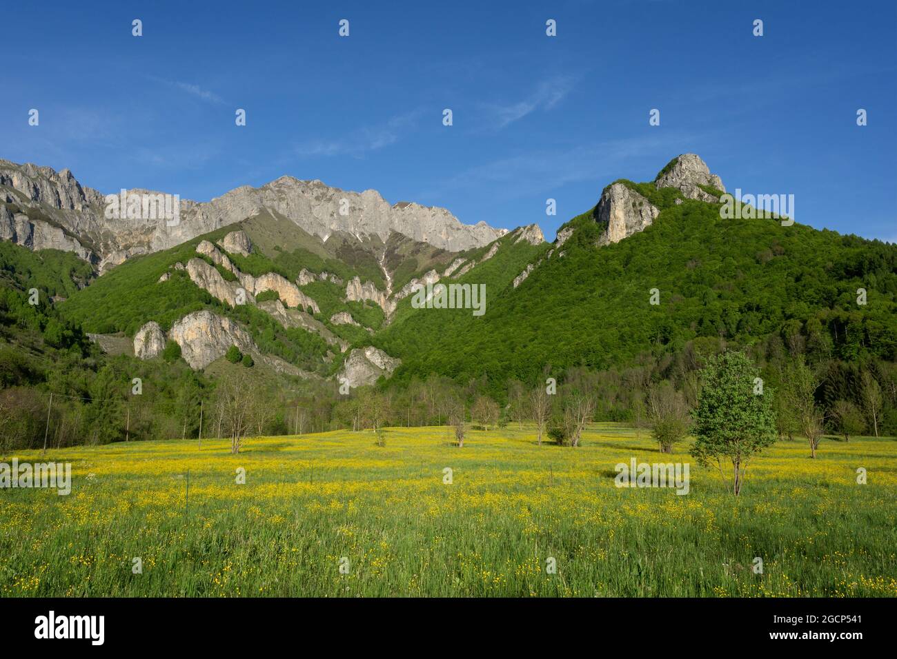 Cliffs of Entracque in the Maritime Alps (Valle Gesso, Cuneo, Piedmont, Italy) Stock Photo