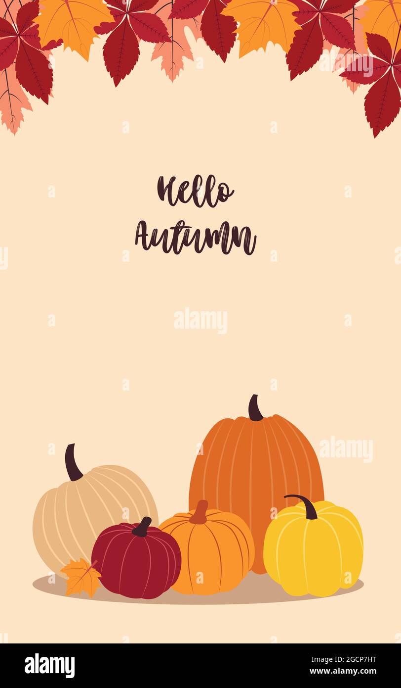 Autumn harvest. Vector illustration with copy space. Flat design Stock ...