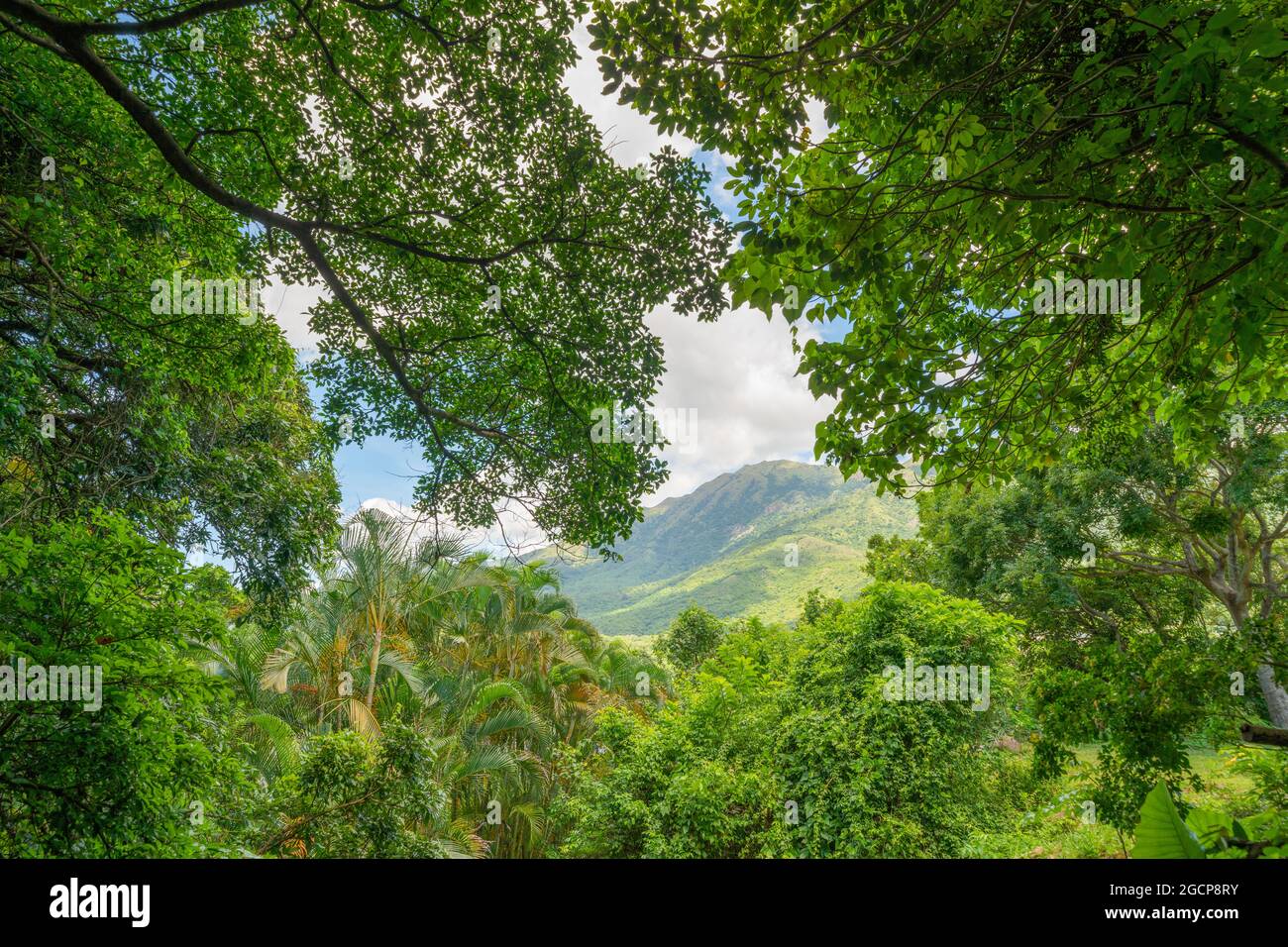 Pui O High Resolution Stock Photography And Images Alamy Pui O High Resolution Stock Photography And Images Alamy