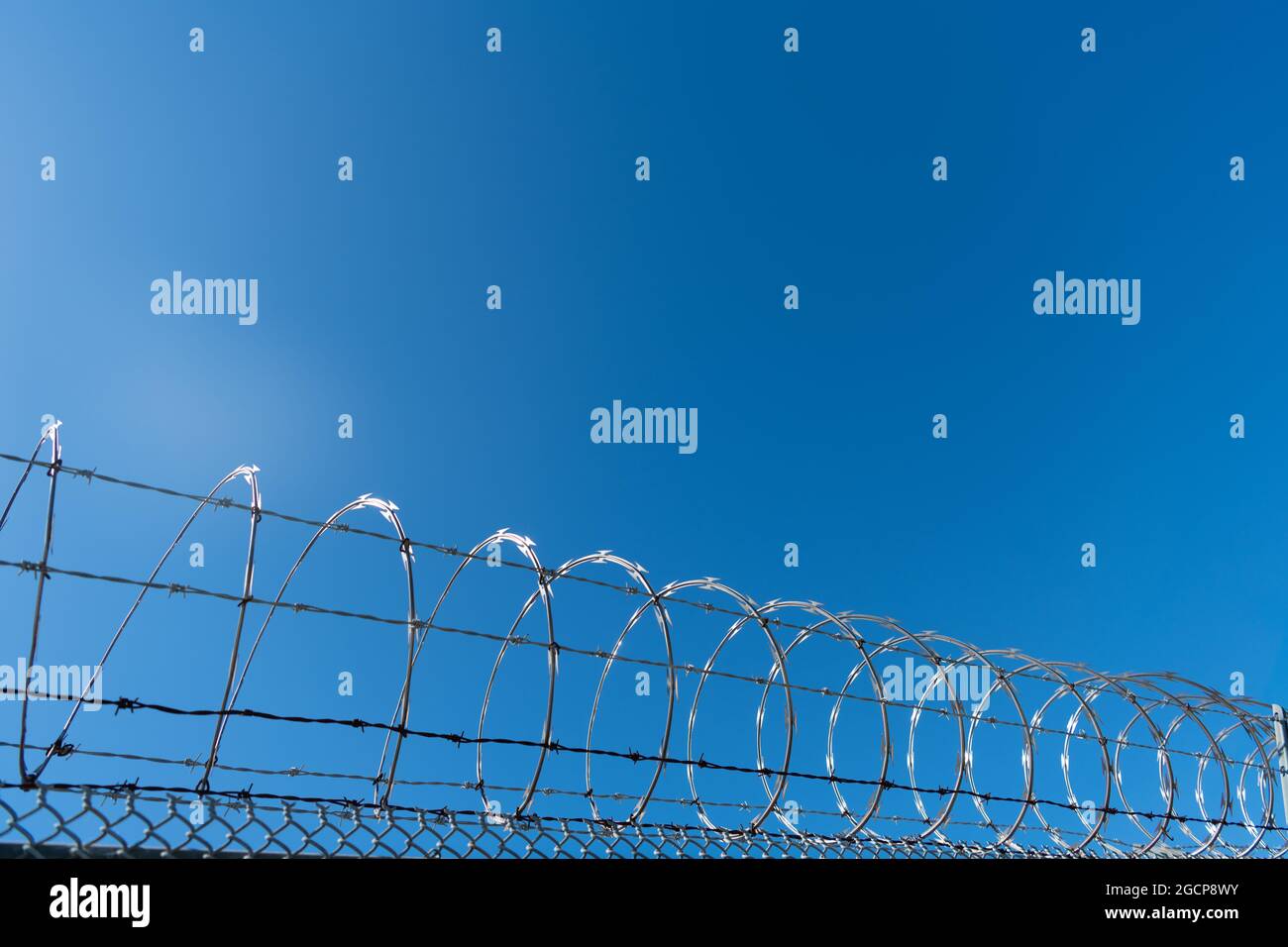 steel grating fence. coiled razor wire with its sharp steel barbs Stock ...