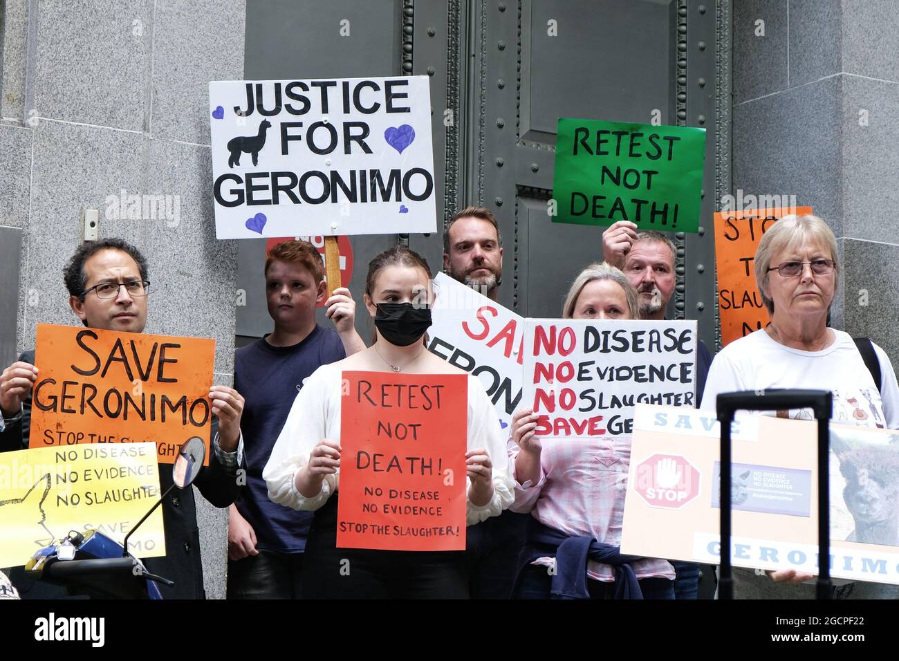 London, UK. Animal rights protesters gathered outside DEFRA to demonstrate against the killing of Geronimo an alpaca who tested positive for bovine TB Stock Photo