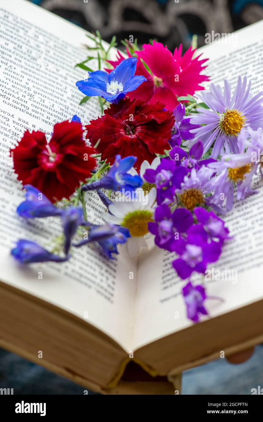 carnation and many other flowers in the book Stock Photo