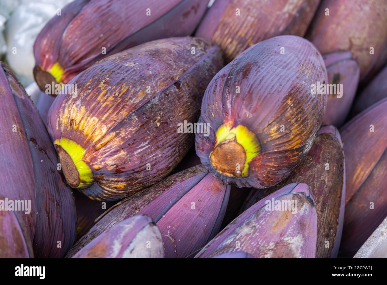 A bunch of Banana blossom or  Banana heart on a counter in a fresh market at Kuala Lumpur, Malaysia. The banana flower is used in asia for cooking as Stock Photo