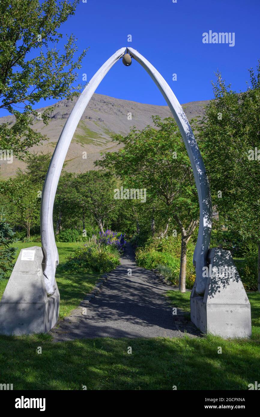 Whale bones as entrance gate at Skruour botanical garden, Thingeyri, Vestfiroir, Iceland Stock Photo