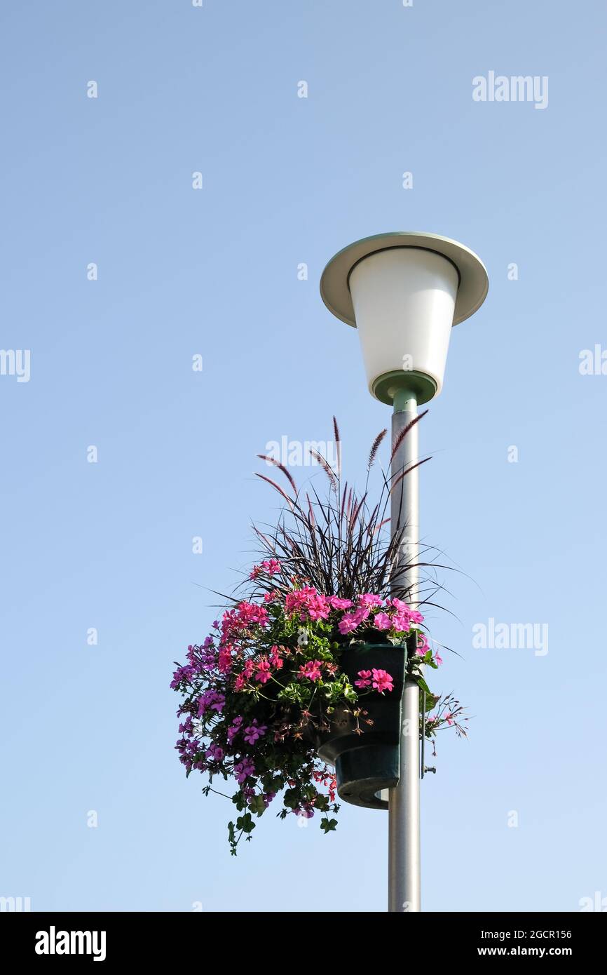 Lamp post hanging flower basket hi-res stock photography and images - Alamy