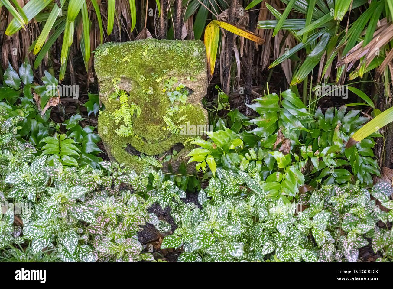 Smiling face garden ornament along a walking path at Washington Oaks Gardens State Park in Palm Coast, Florida. (USA) Stock Photo