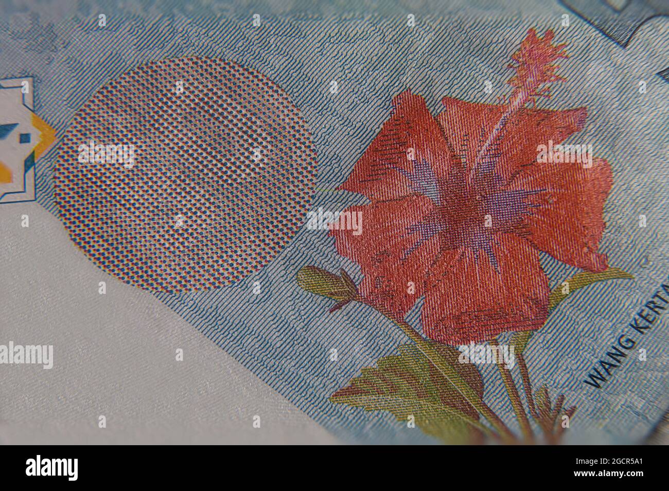 Super macro photography of 50 Ringgit Malaysia. Extreme close up on a RM 50 banknote. In center the big 50. On one side the red hibiscus flower on the Stock Photo