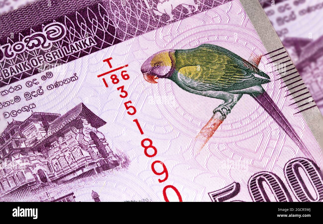 Macro photography of 500 Sri Lanka Rupee or Rupie. Paper currency of the republic Sri Lanka. Money of the island country. Close up to the colorful Sri Stock Photo