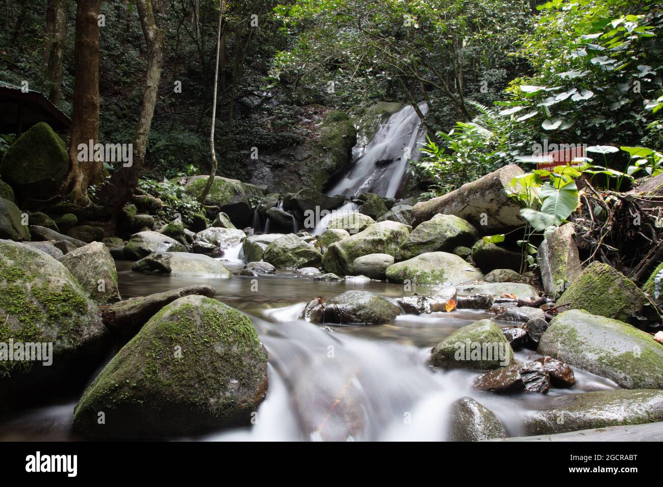 Waterfall at the rainforest of Sarawak, Borneo, Malaysia. Water falls in a small  creek in the jungle. Silky water flow with long exposure. Peaceful, Stock Photo