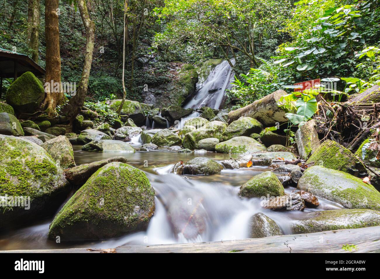 Waterfall at the rainforest of Sarawak, Borneo, Malaysia. Water falls in a small  creek in the jungle. Silky water flow with long exposure. Peaceful, Stock Photo