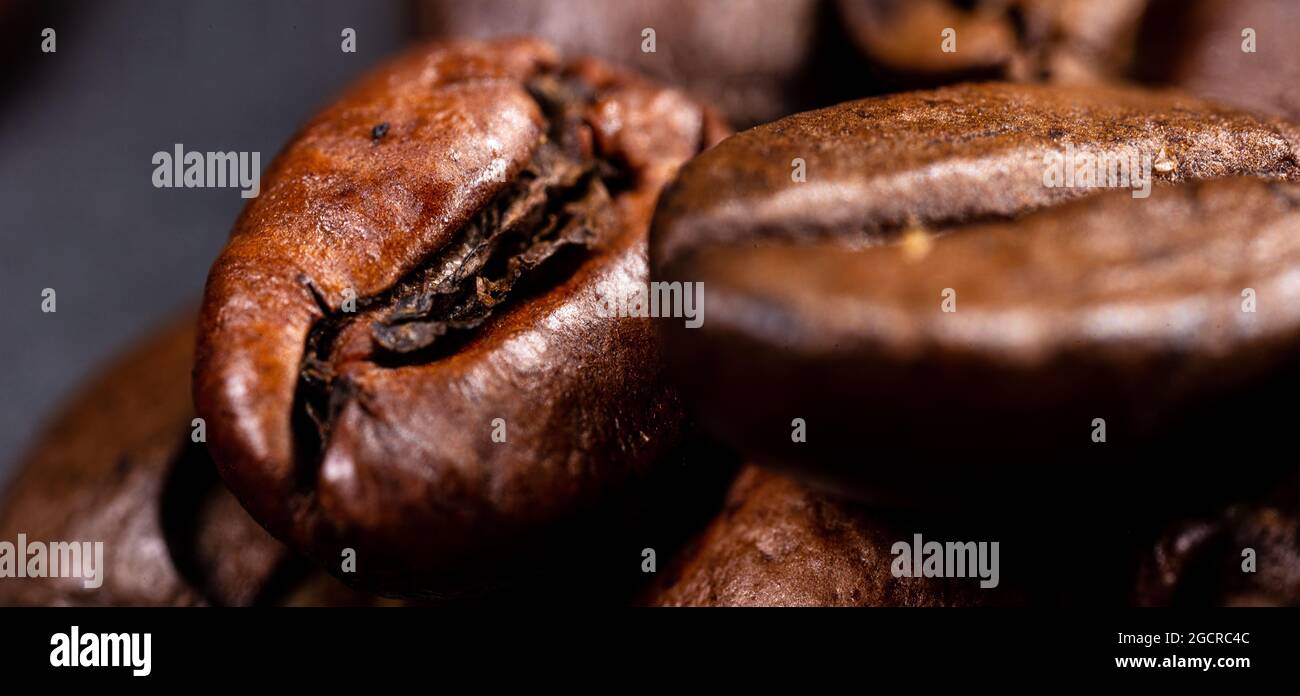 Close up of a coffee bean. Macro photography of coffee beans in high ...
