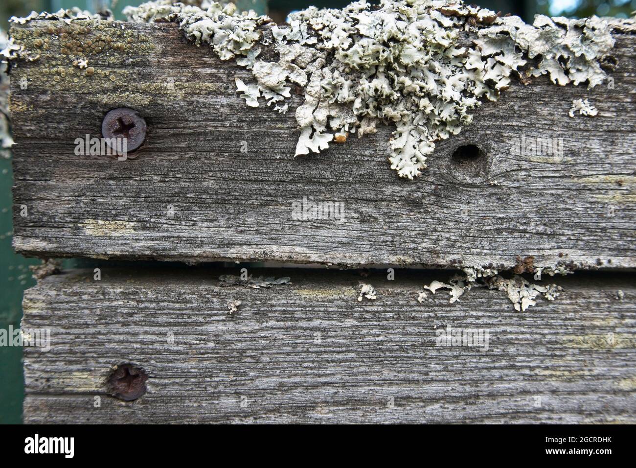 Old grey wooden planks horizontal background Stock Photo