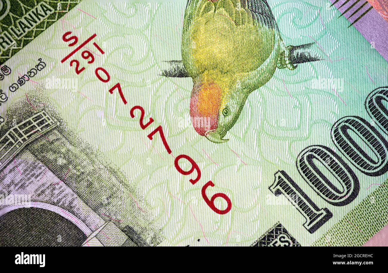 Macro photography of 1000 Sri Lanka Rupee or Rupie. Paper currency of the republic Sri Lanka. Money of the island country. Close up to the colorful Sr Stock Photo