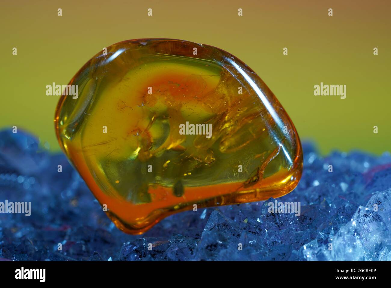 Amber made of yellow transparent fossil resin with insect inclusions