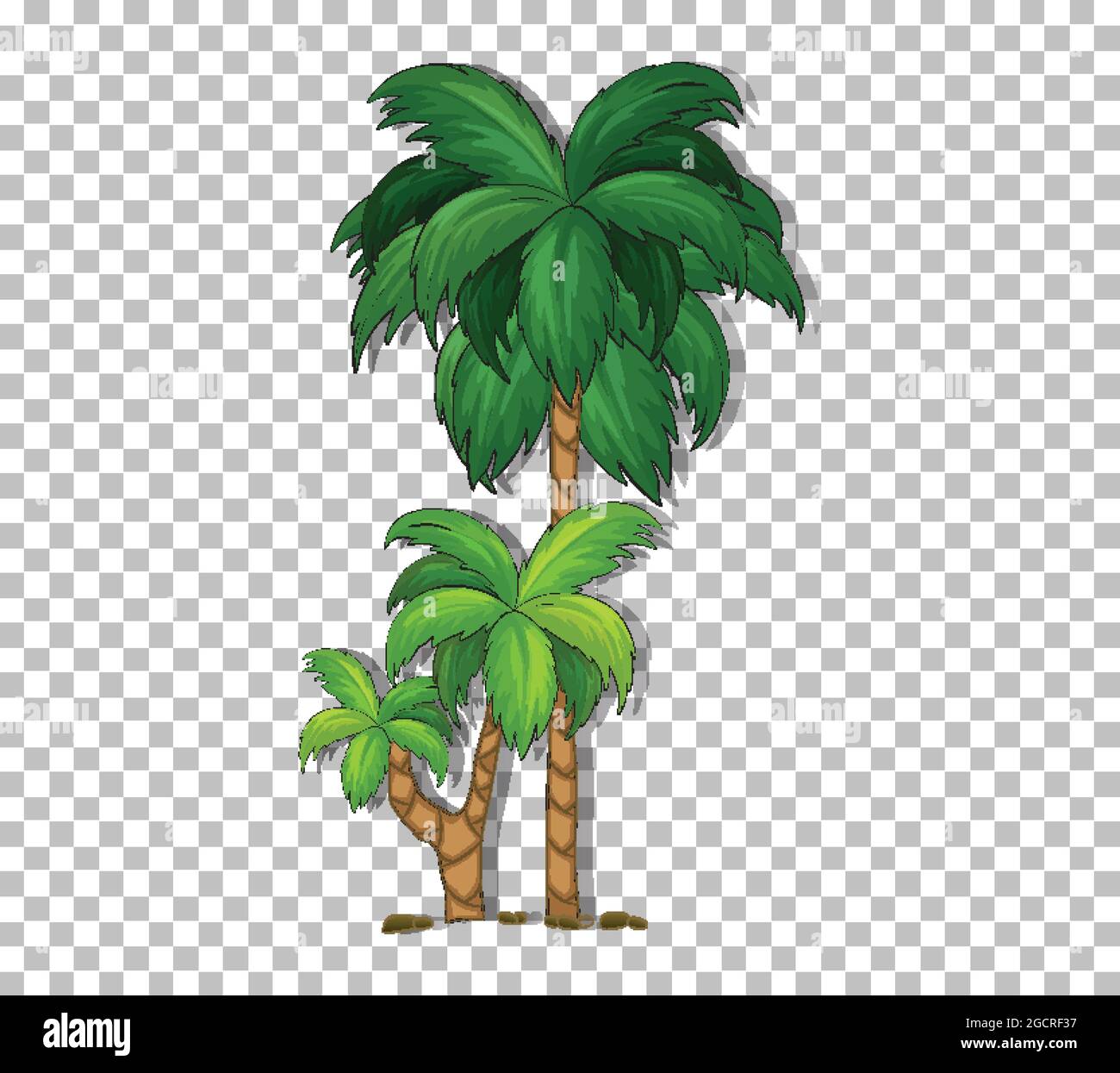 Palm tree on transparent background illustration Stock Vector Image ...