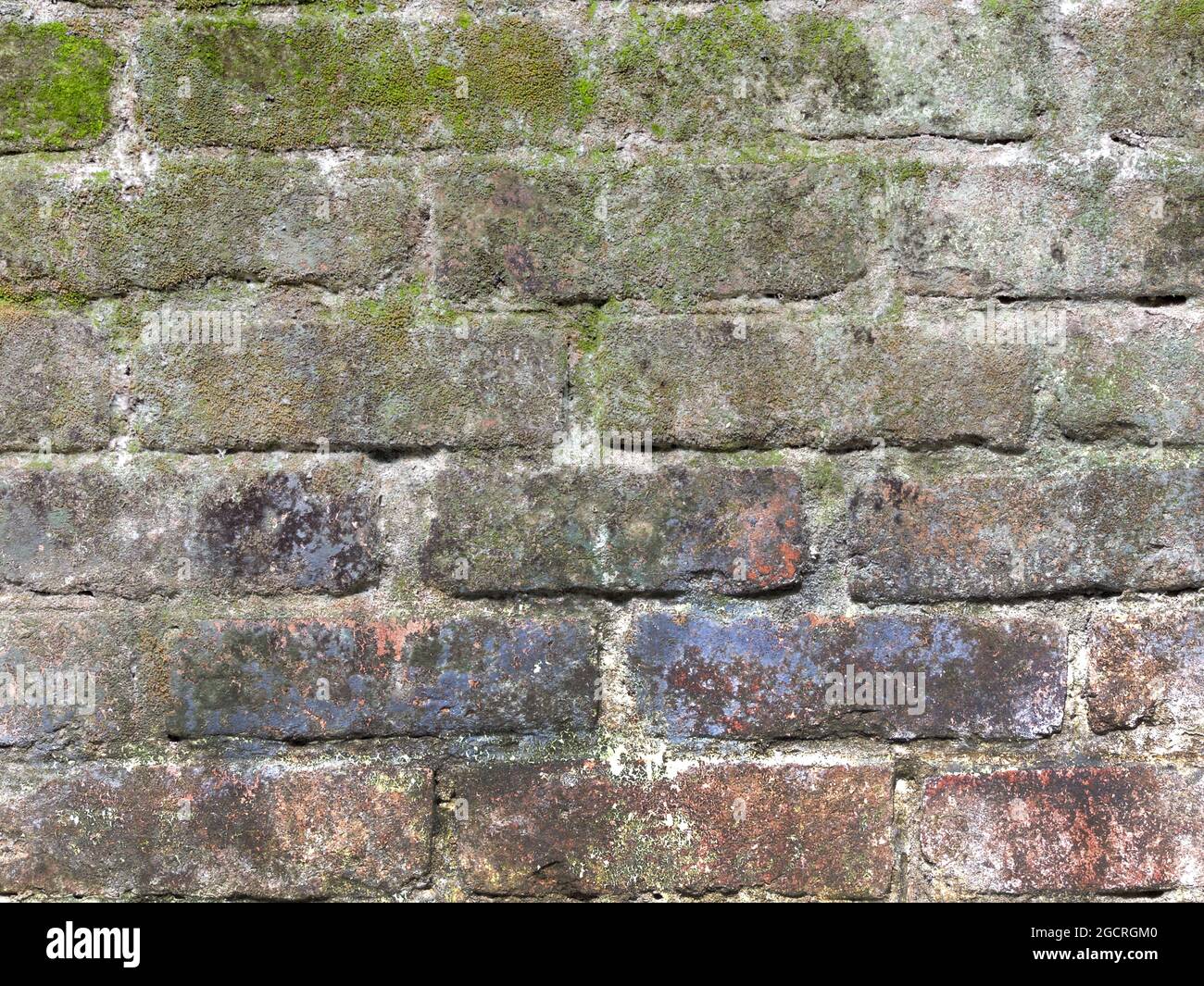 Old stone wall covered with moss Stock Photo - Alamy