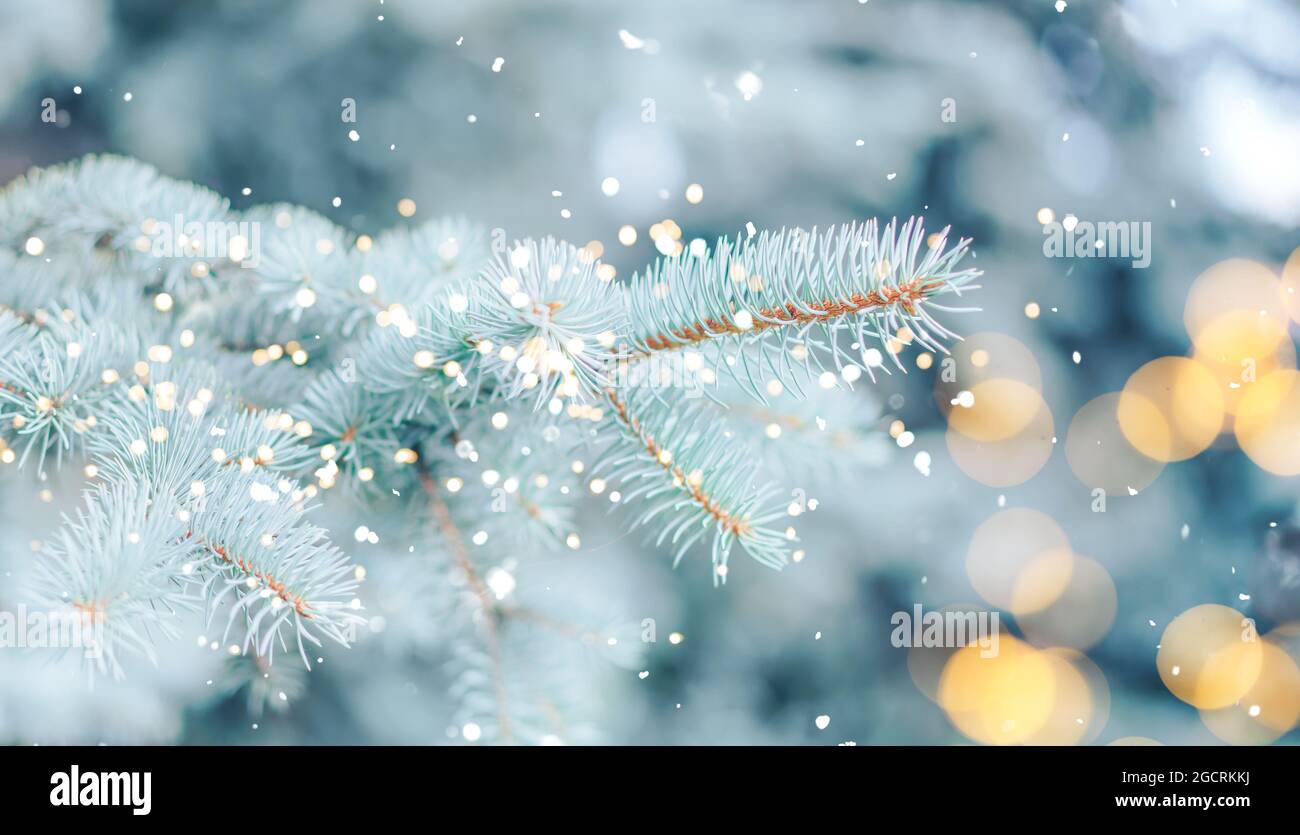 snowy lights backgrounds