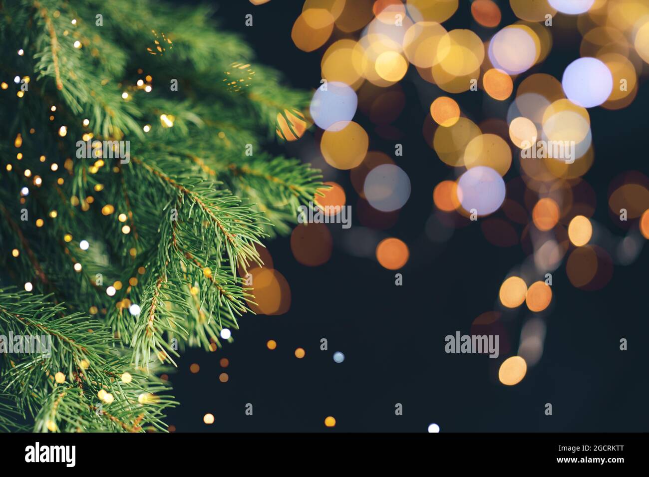 Christmas tree branch in front of blurry christmas lights Stock Photo ...