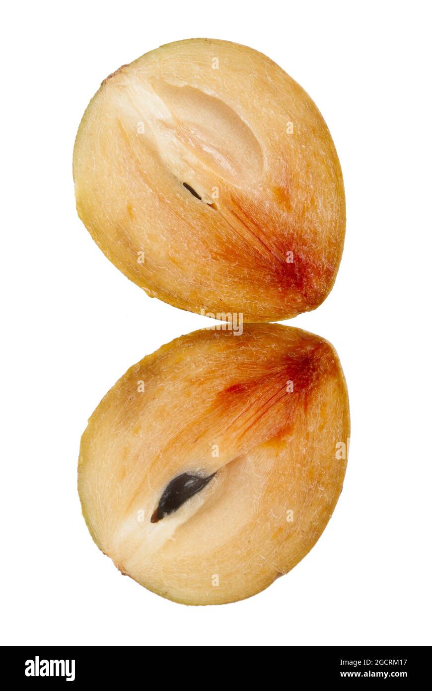 sapodilla plum with cut isolated on white Stock Photo