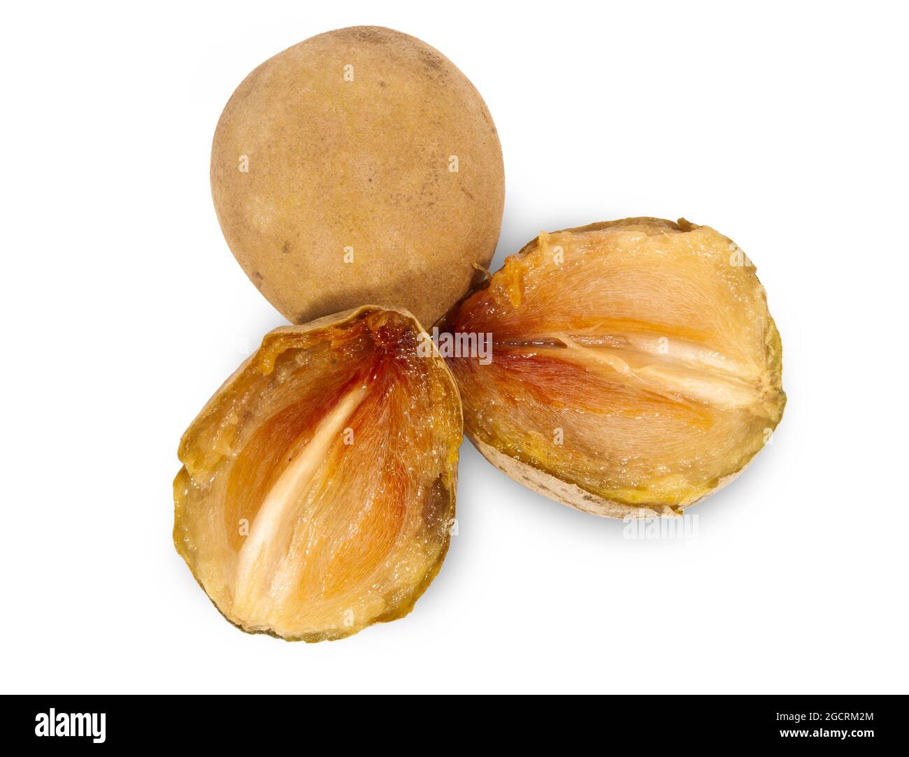 sapodilla plum with cut isolated on white Stock Photo