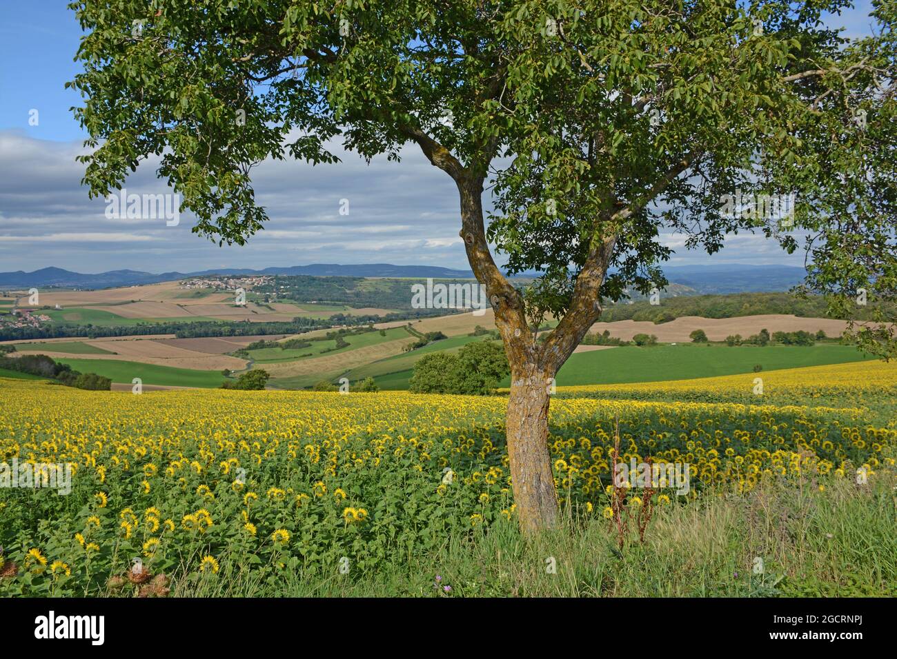 countryside near Issoire, Puy-de-Dome, Auvergne-Rhone-Alpes, Massif-Central, France Stock Photo