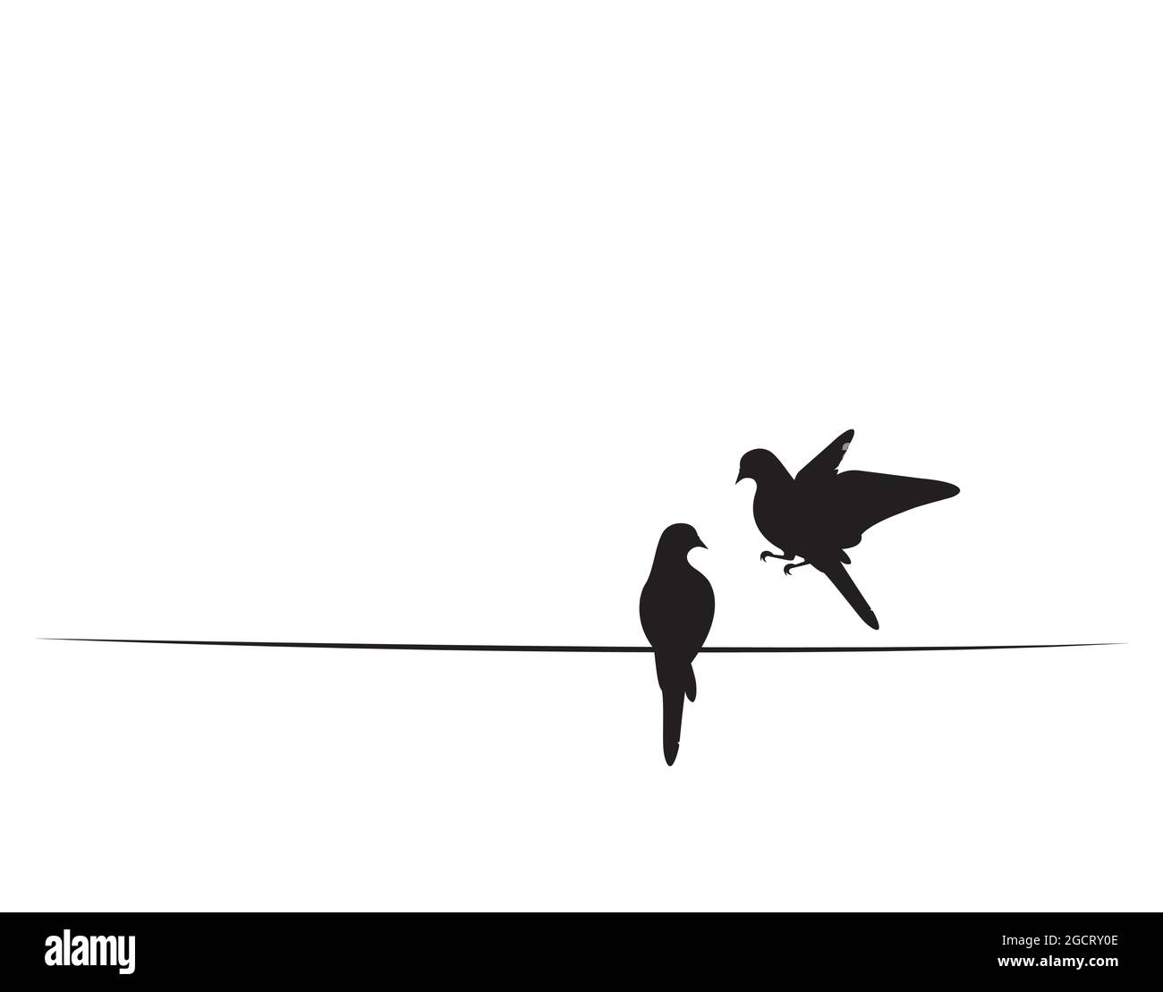 Песня two birds on a wire. Two Birds on a wire.