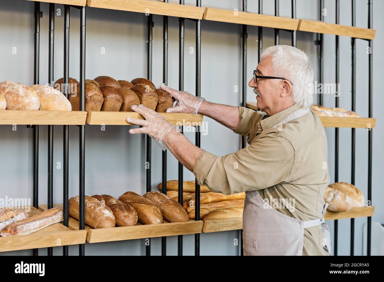 Aged baker in apron putting fresh baked loaves of bread on display in