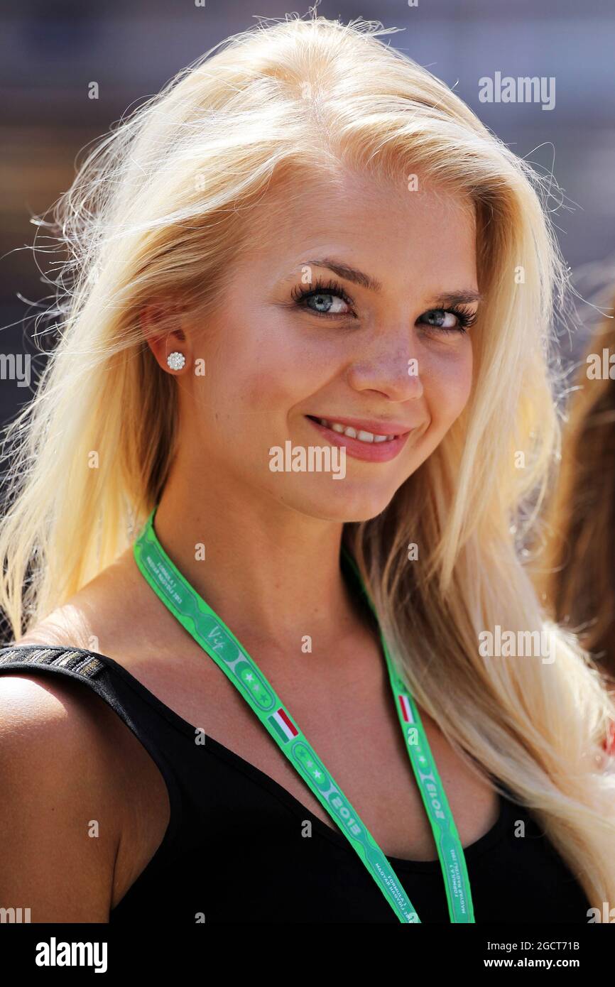 https://c8.alamy.com/comp/2GCT71B/lotta-hintsa-fin-2013-miss-finland-and-daughter-of-dr-aki-hintsa-fin-mclaren-team-doctor-hungarian-grand-prix-sunday-28th-july-2013-budapest-hungary-2GCT71B.jpg