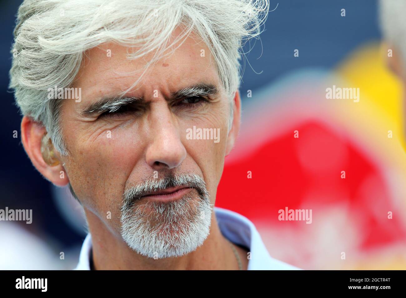 Damon Hill (GBR) Sky Sports Presenter. Hungarian Grand Prix, Saturday 26th July 2014. Budapest, Hungary. Stock Photo