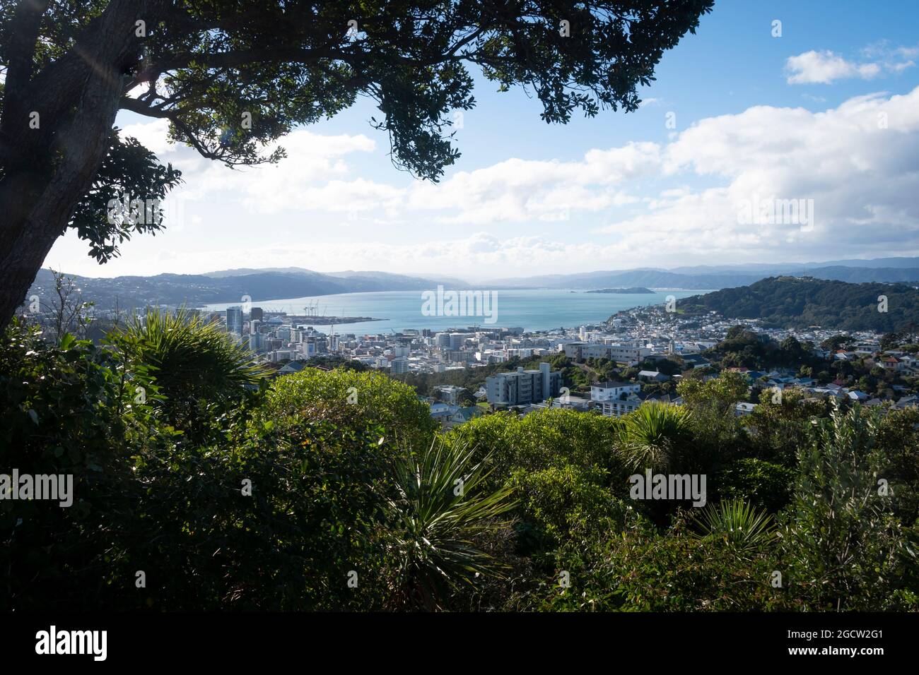 Wellington city and harbour viewed from Brooklyn, Wellington, North Island, New Zealand Stock