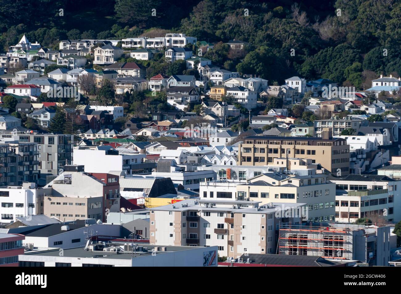 Cityscape of Te Aro and Mount Victoria, Wellington, North Island, New Zealand Stock Photo