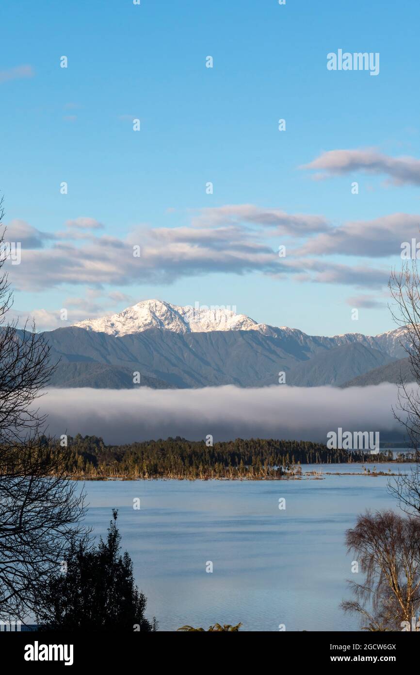 New forest snow capped trees hi-res stock photography and images - Alamy