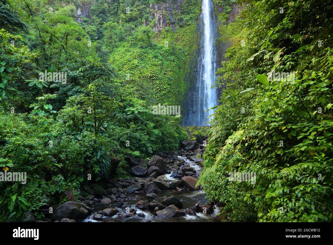waterfall-in-guadeloupe-caribbean-island-chutes-du-carbet-waterfall