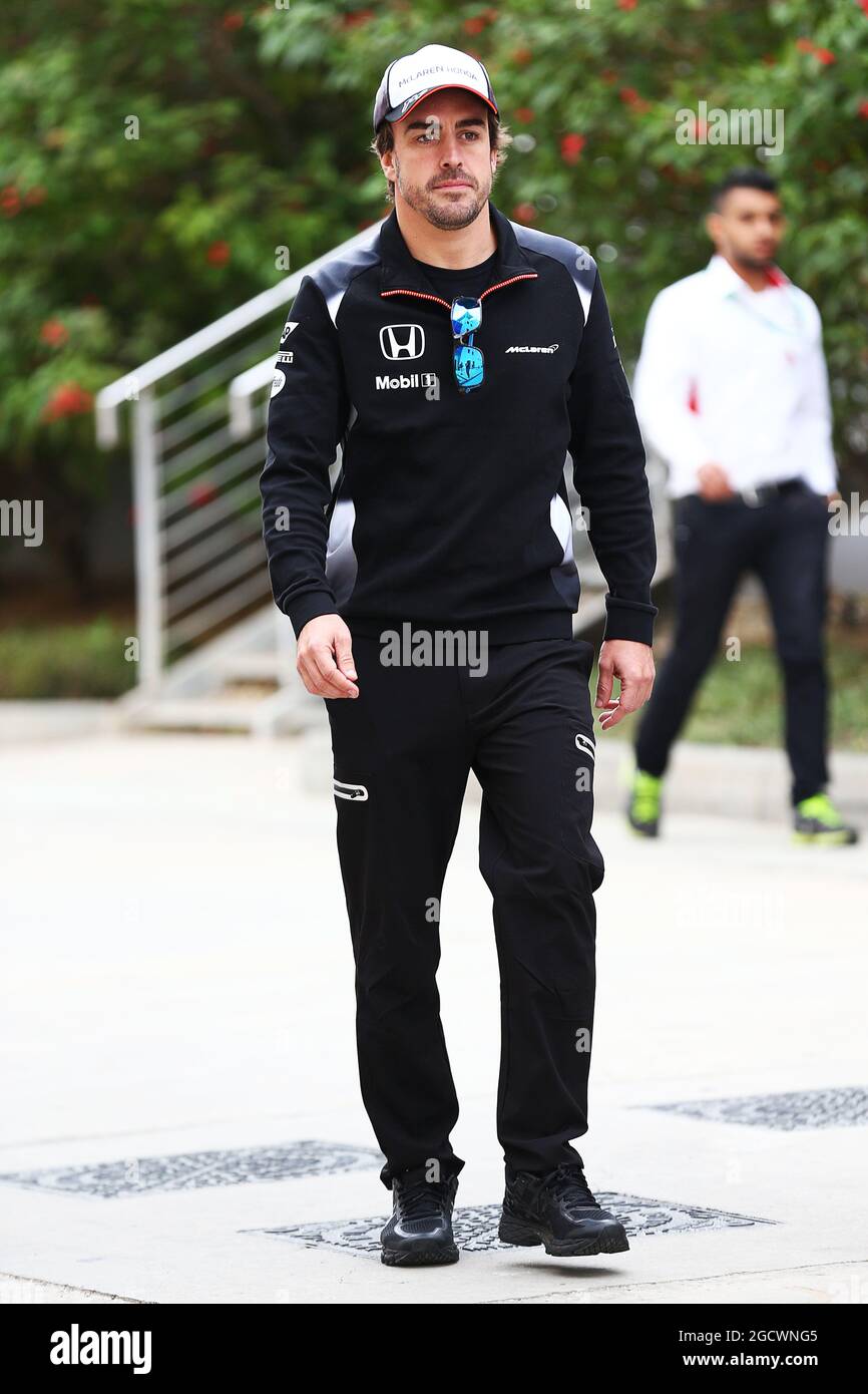 Fernando Alonso (ESP) McLaren. Bahrain Grand Prix, Thursday 31st March  2016. Sakhir, Bahrain Stock Photo - Alamy