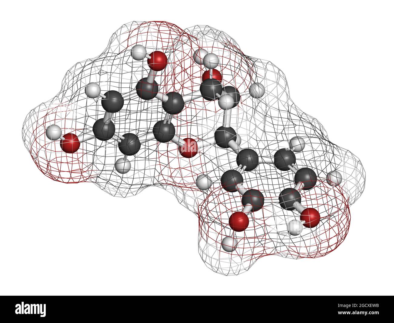 Catechin herbal antioxidant molecule. 3D rendering. Stock Photo