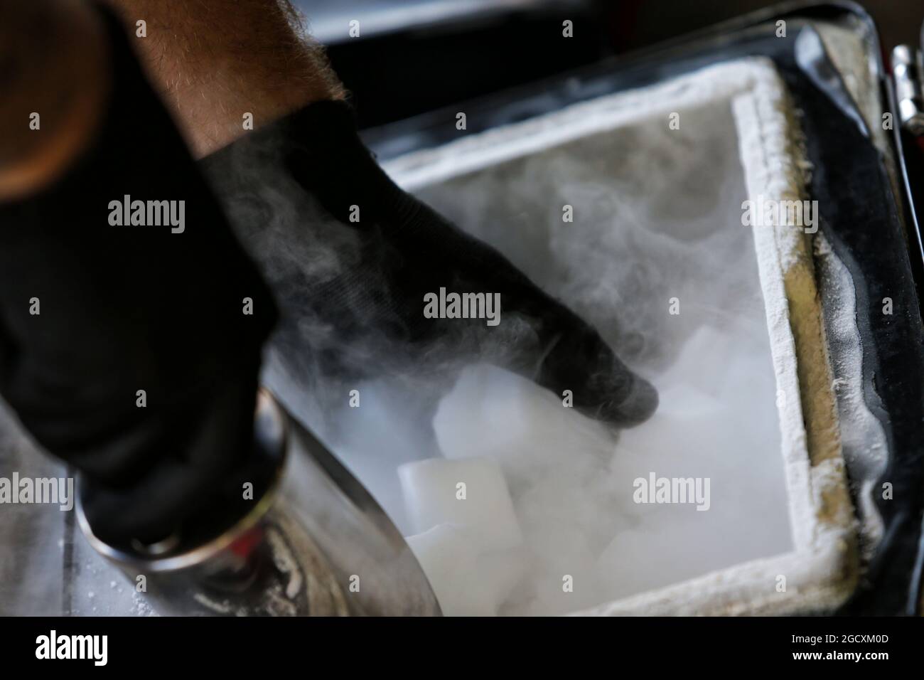 Renault sport f1 team dry ice hires stock photography and images Alamy