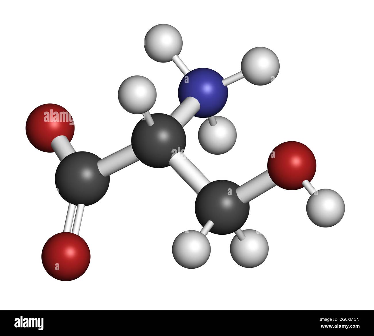 D-serine amino acid molecule. Enantiomer of L-serine. 3D rendering. Stock Photo