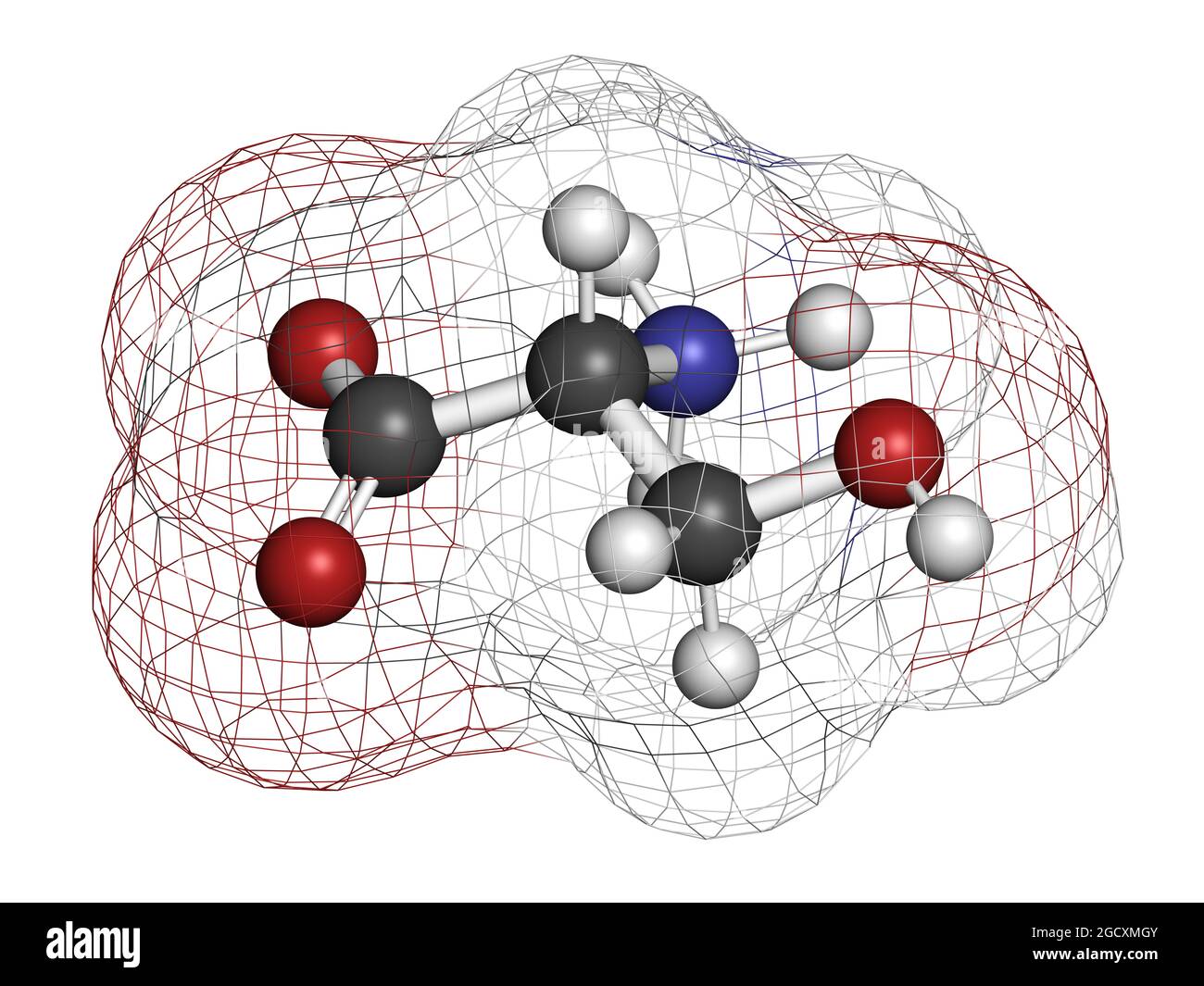 D-serine amino acid molecule. Enantiomer of L-serine. 3D rendering. Stock Photo